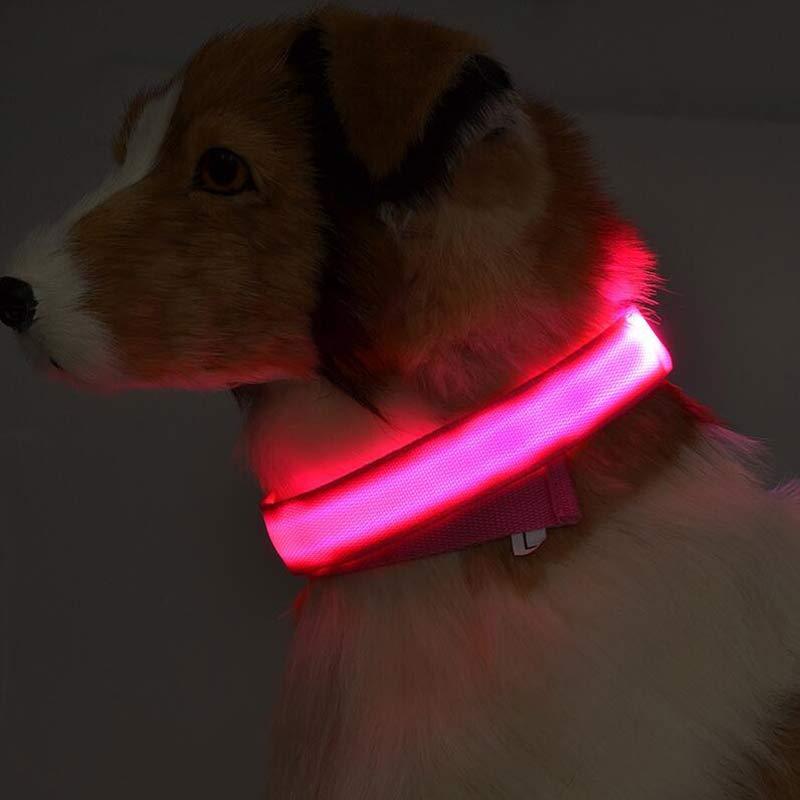 Nylon LED verlichte halsband - oplaadbaar of op batterijen