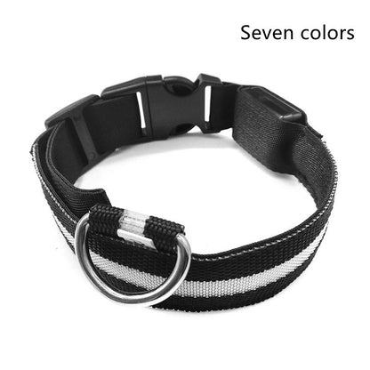 Nylon LED verlichte halsband - oplaadbaar of op batterijen