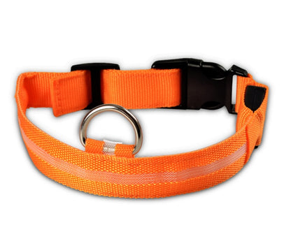 Nylon LED verlichte halsband - oplaadbaar of op batterijen