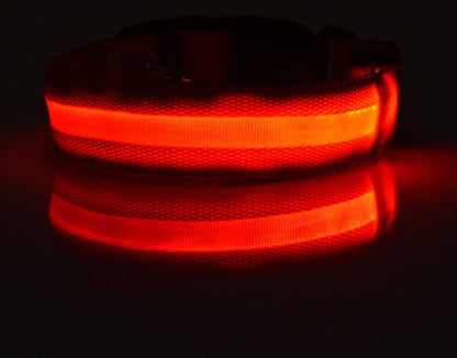 Nylon LED verlichte halsband - oplaadbaar of op batterijen